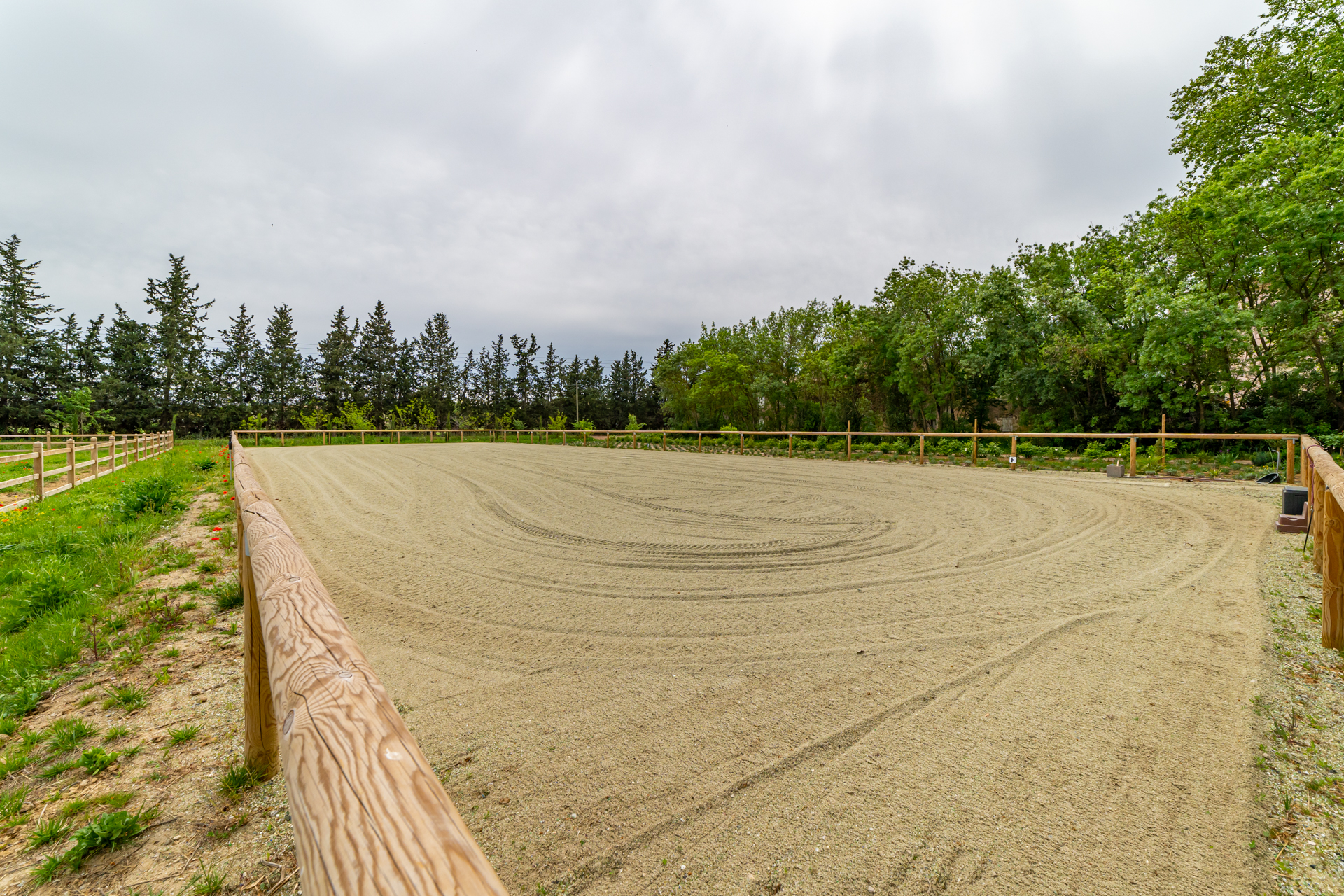 Paddock Nimes avec piste en sable fibré